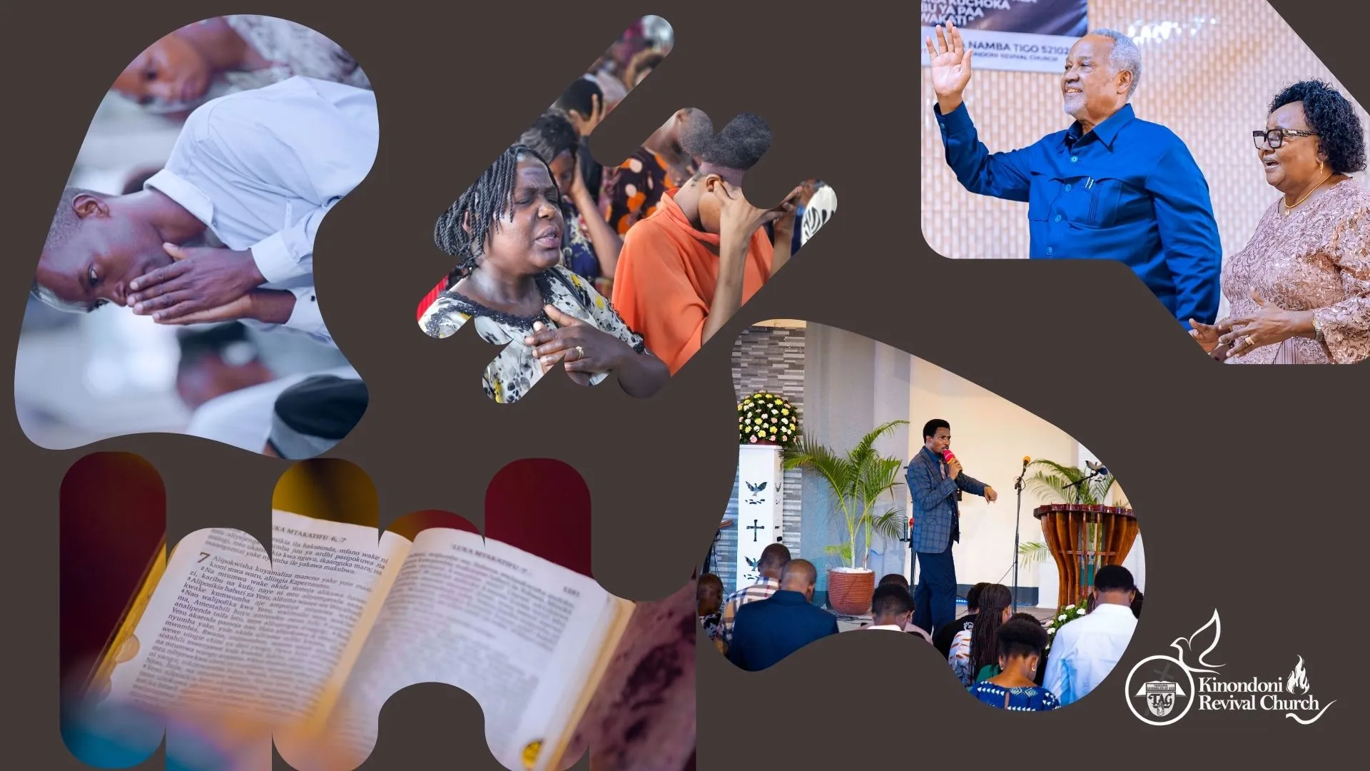 Bible Study